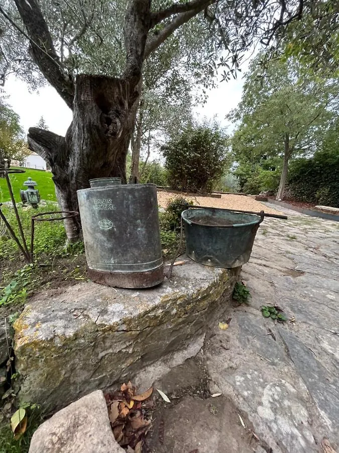 Villa Le Mazet De L'Isle Sur La Sorgue à Saumane-de-Vaucluse
